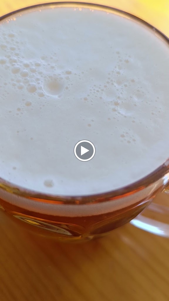 Meson La Gaviota — Videos