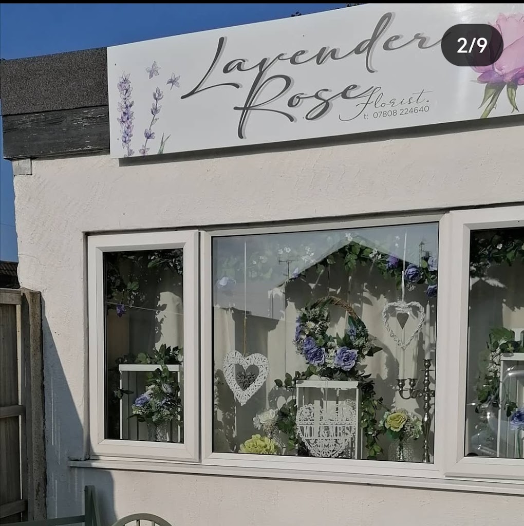 Lavender Rose Florist