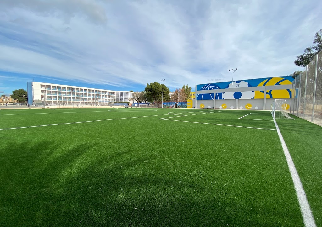 Colegio Sagrada Familia