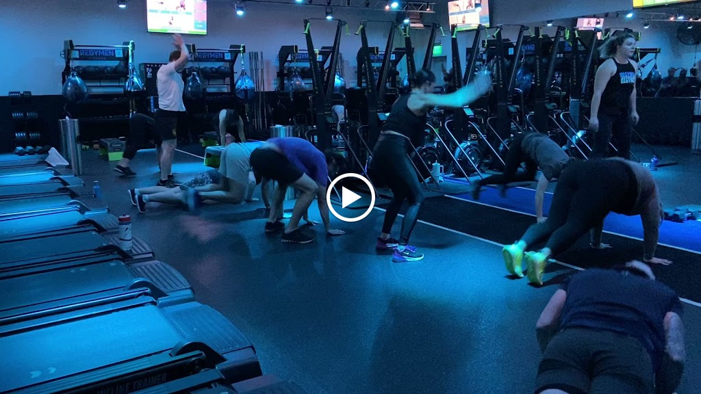  Regymen Fitness Ascension