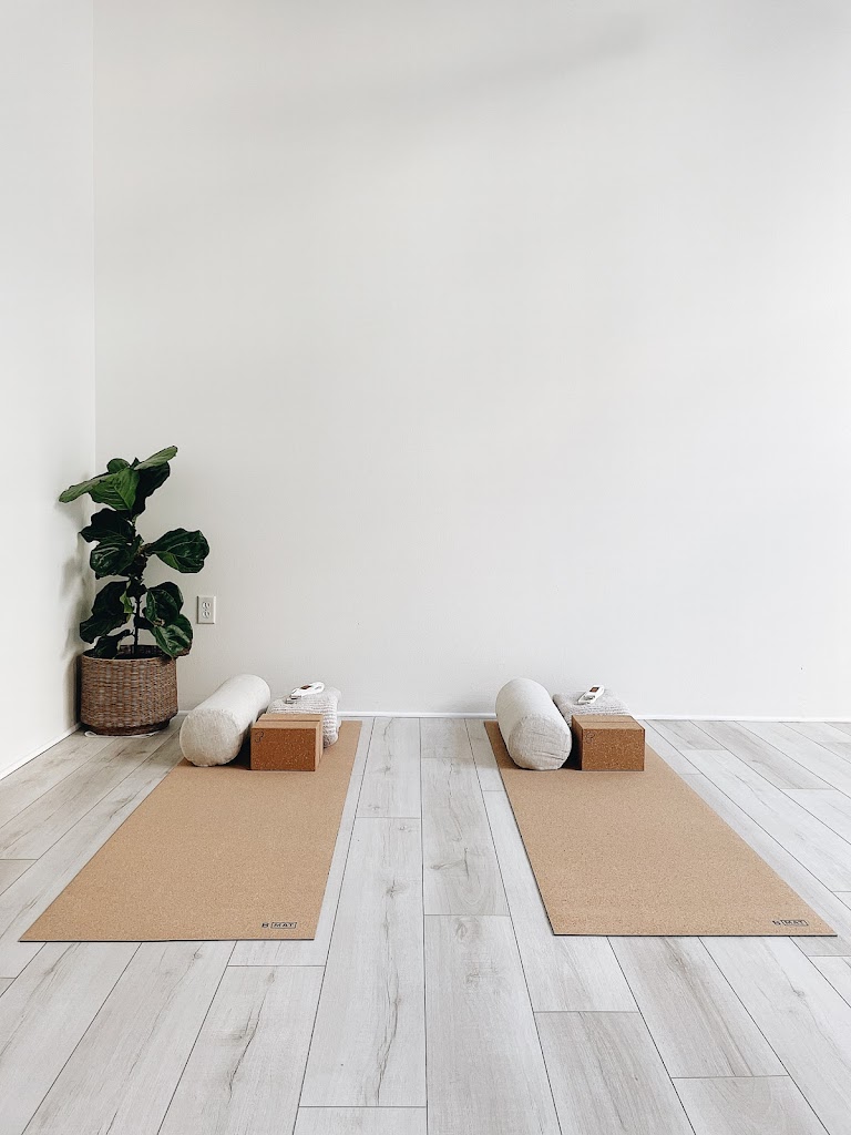  The Holō Collective