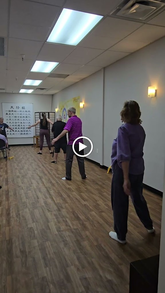  Body & Brain Yoga Tai Chi