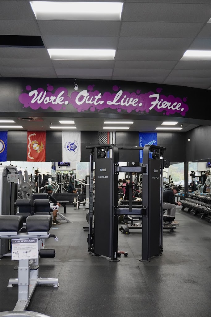  WOLF Fitness Absecon