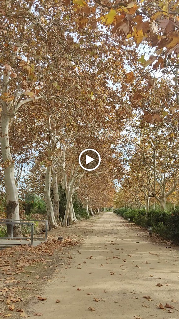 Camino de la playa del Prat — Videos