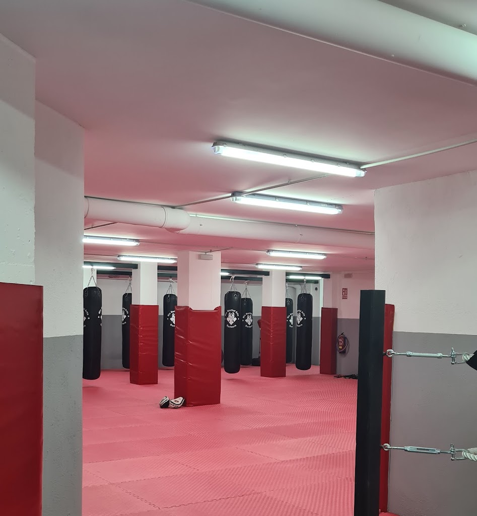 Mix Martial Arts Barbera