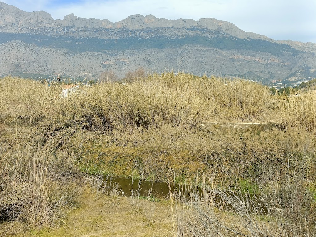 Mirador Rio Algar