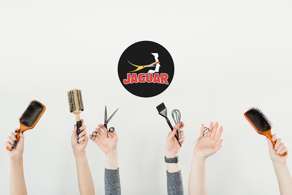 Jaguar Unisex Hair Beauty Salon