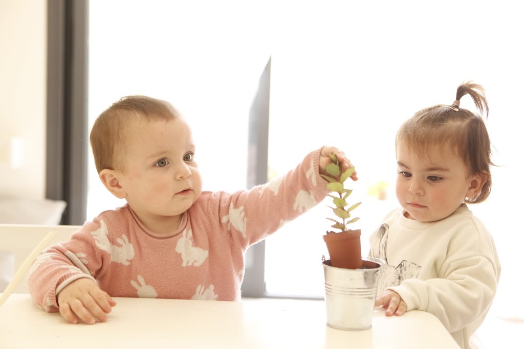 Sinapsis Acompanyament Pedagogic "Es Niu de Sinapsis"