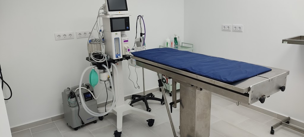 Clinica Veterinaria Vigo Grovalvet