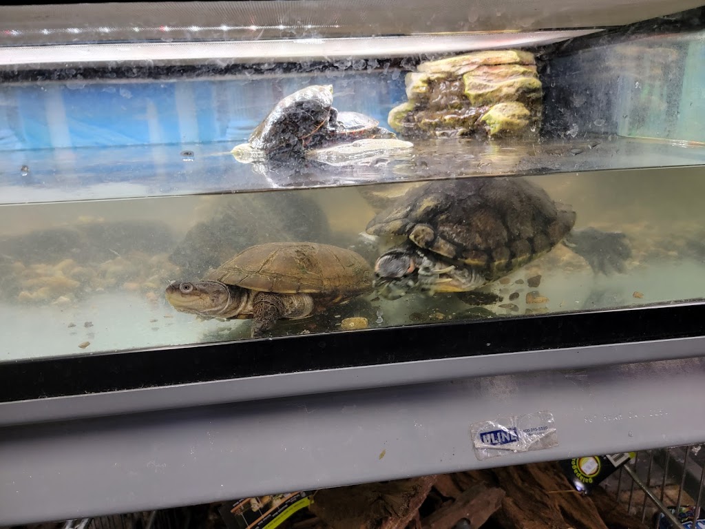 Aquarium