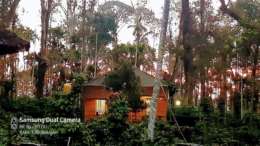 The Old Peredian Homestay