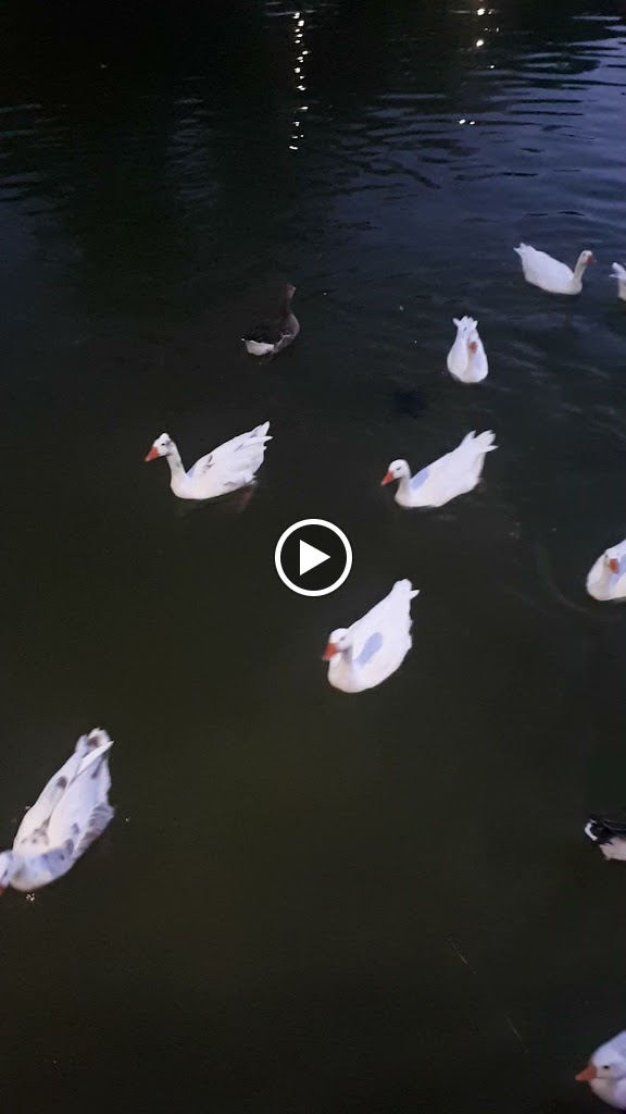 Parking C/ del Pintor Murillo — Videos