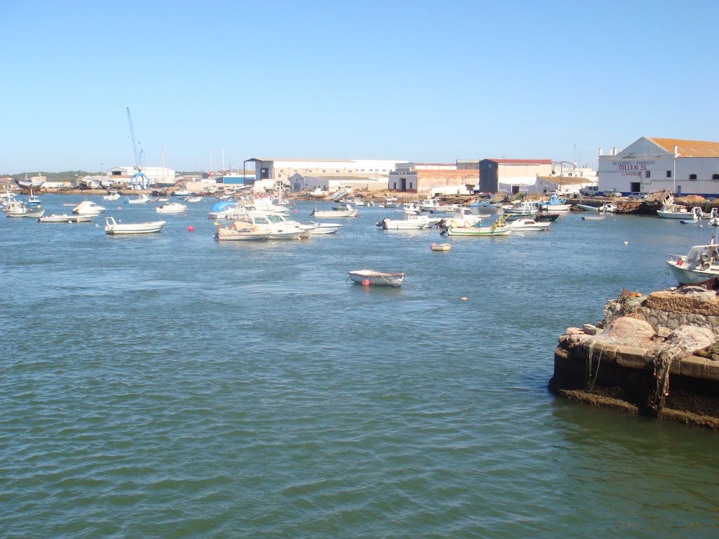 Bar La Curva — Marismas de Isla Cristina