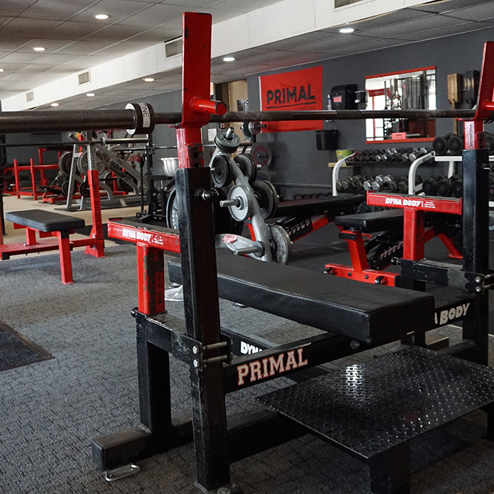  Primal Strength And Fitness