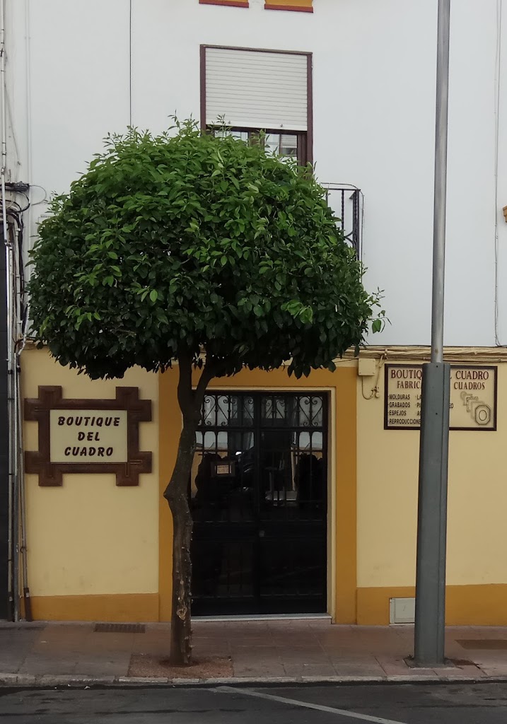 Boutique Del Cuadro