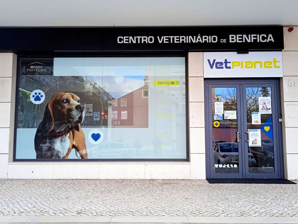 Centro Veterinário de Benfica em Lisboa