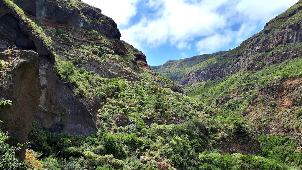 Zona Recreativa Barranco de Ruiz