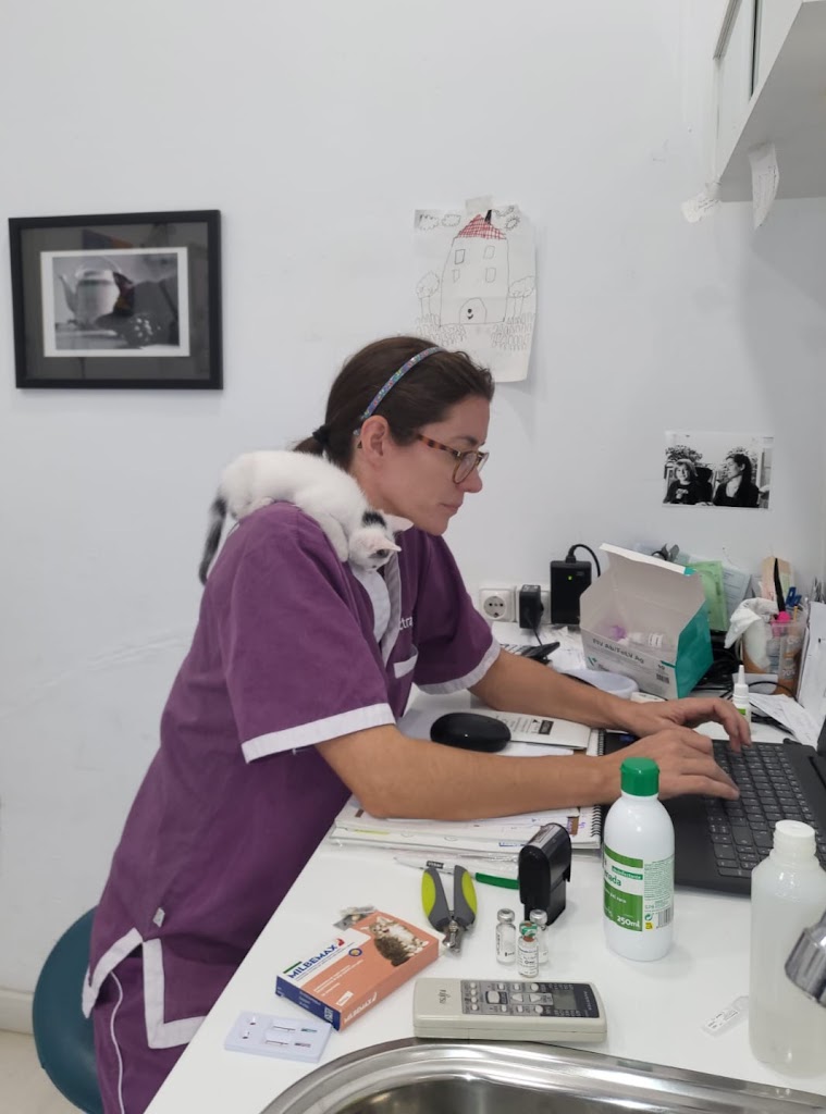 veterinaria sa palla — Del propietario