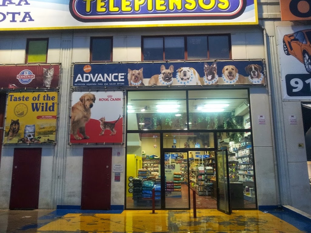 Kiwoko. Mundo Animal