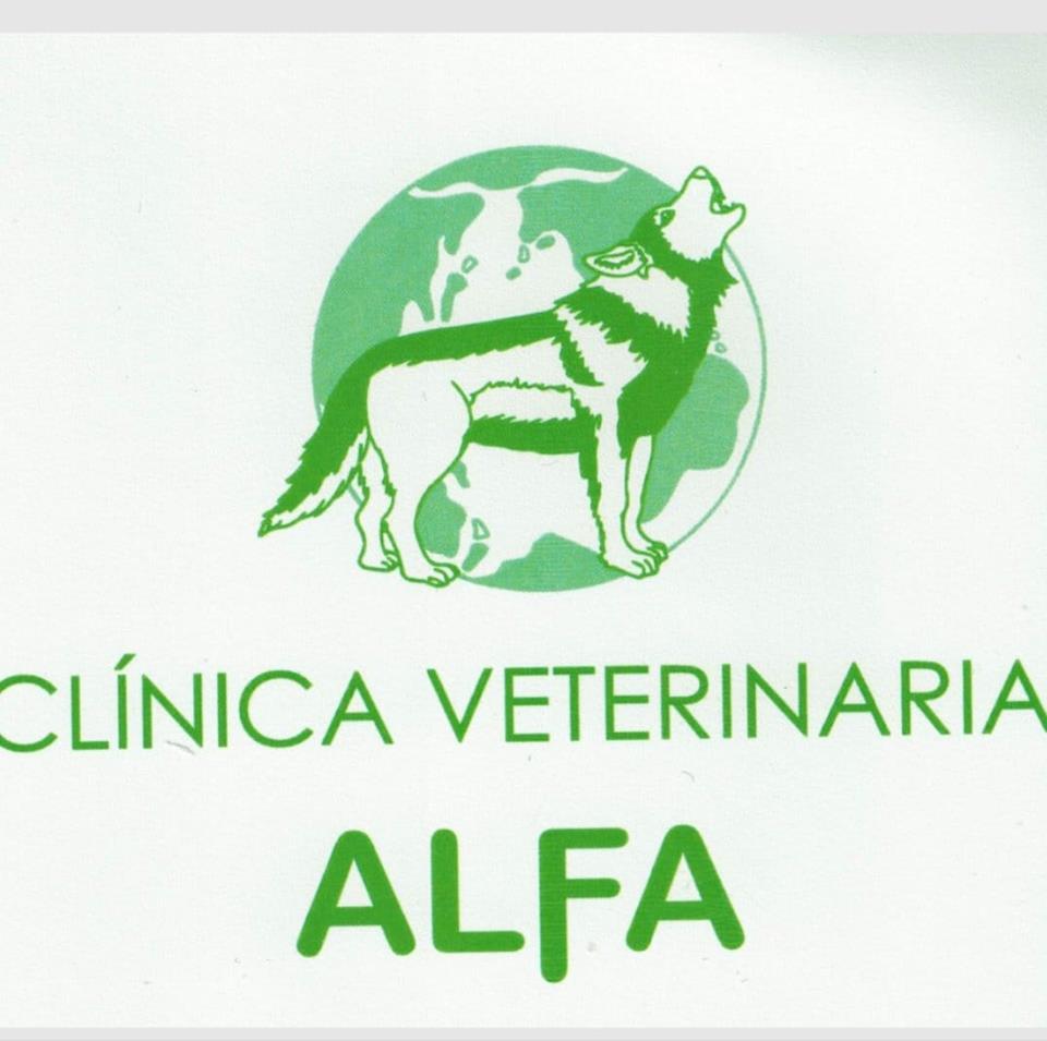 Clinica Veterinaria Alfa — Del propietario