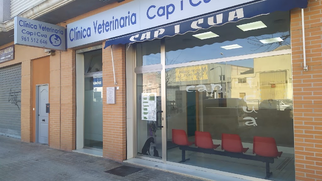 CLINICA VETERINARIA CAP I CUA