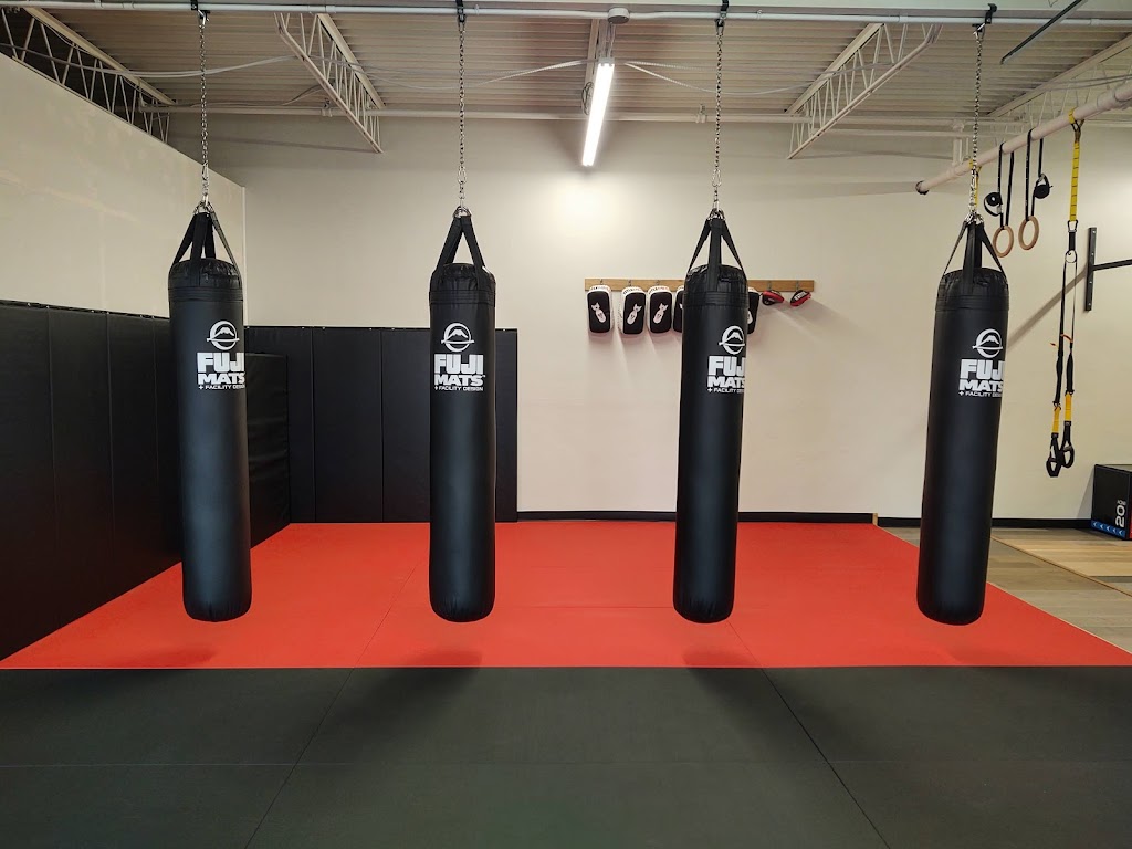  Elements MMA