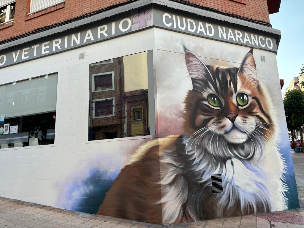 Centro Veterinario Ciudad Naranco