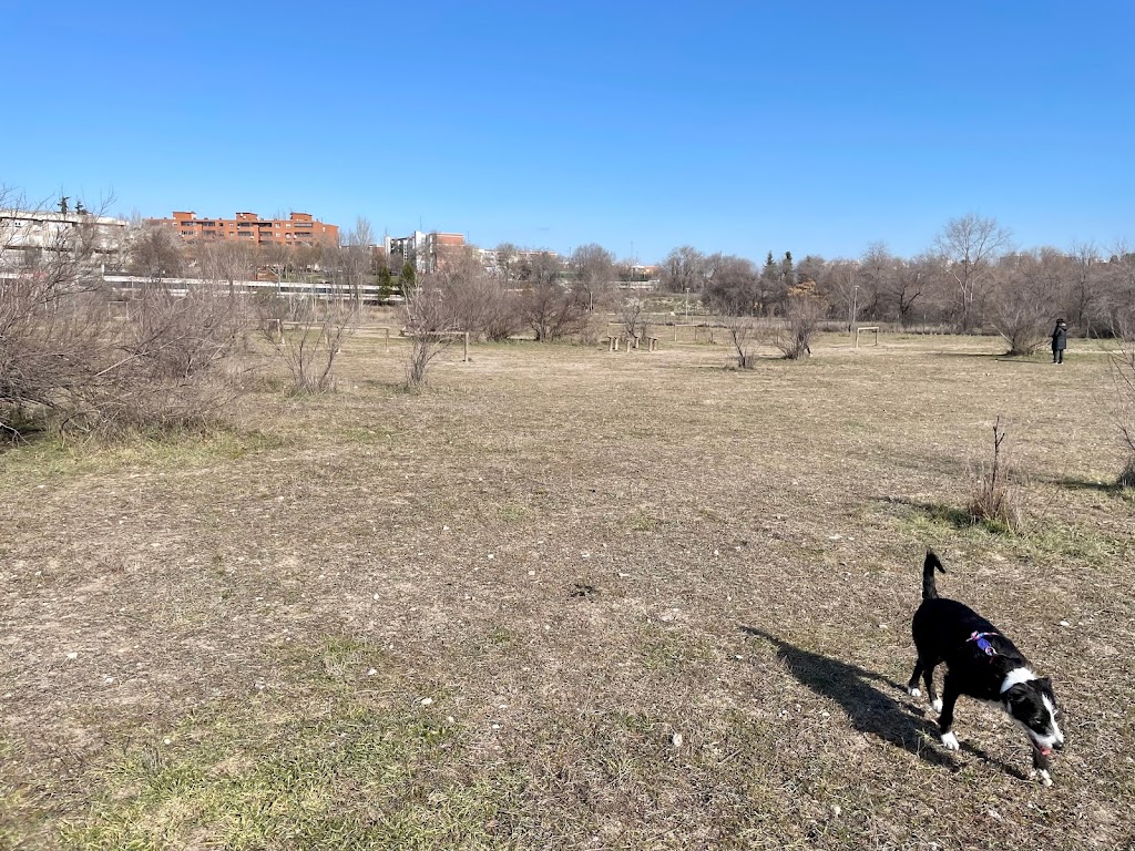 Parque canino Coslada