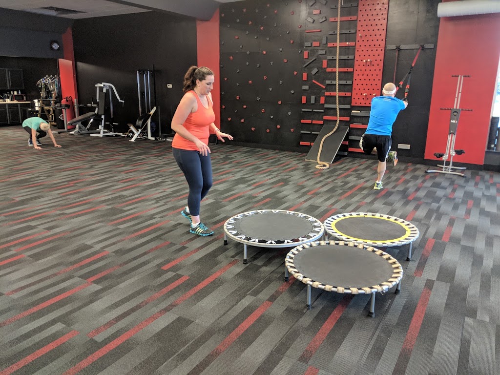  The National Institute of Exercise