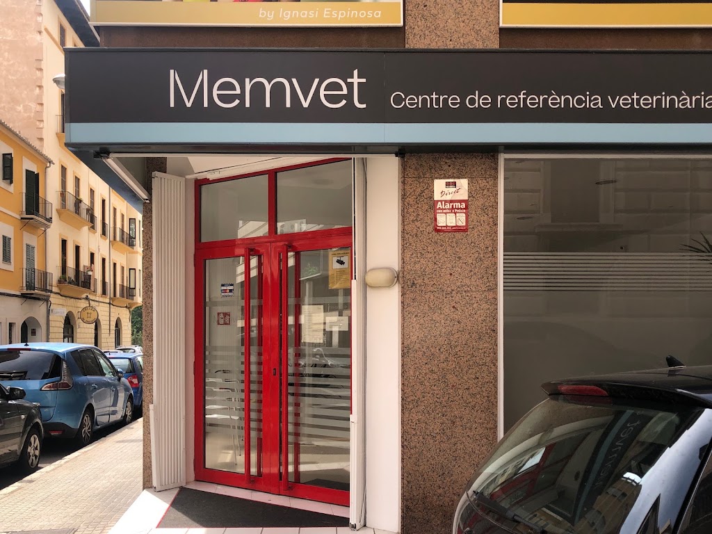 Memvet - Centre de referencia veterinaria — Del propietario