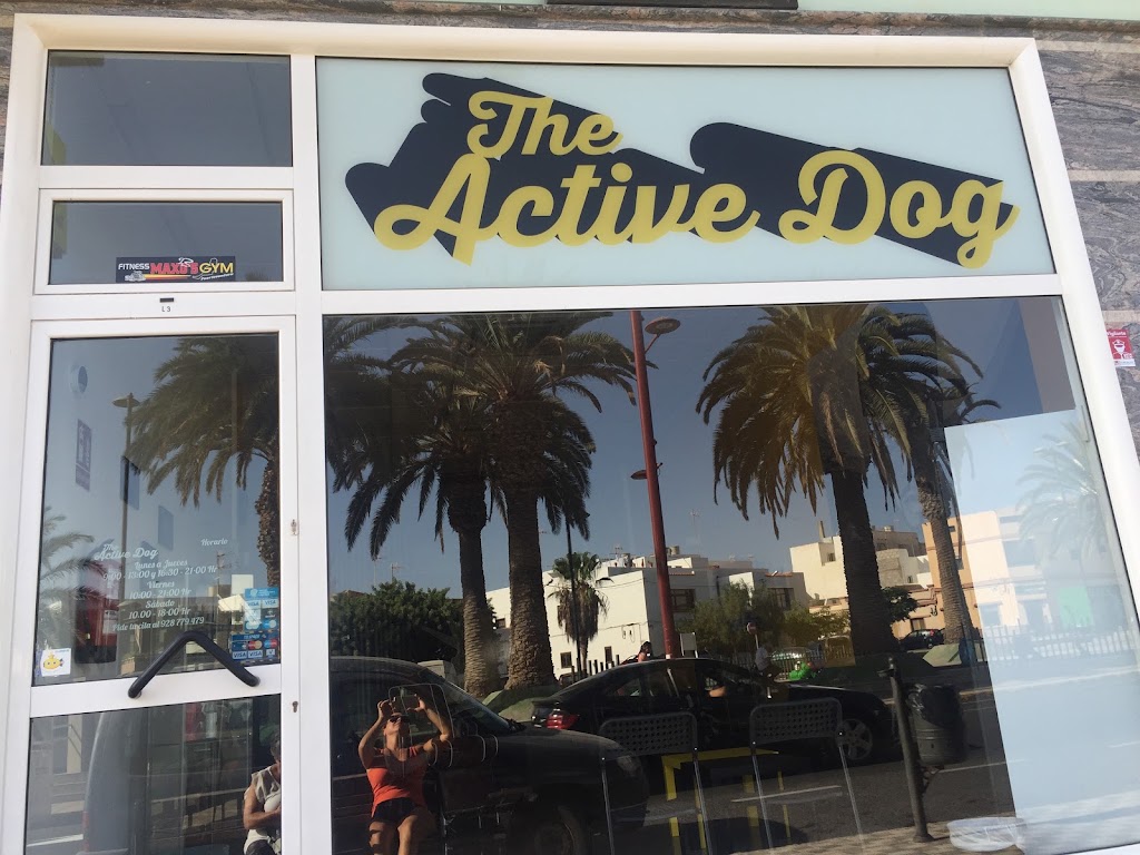 The Active Dog — Exterior