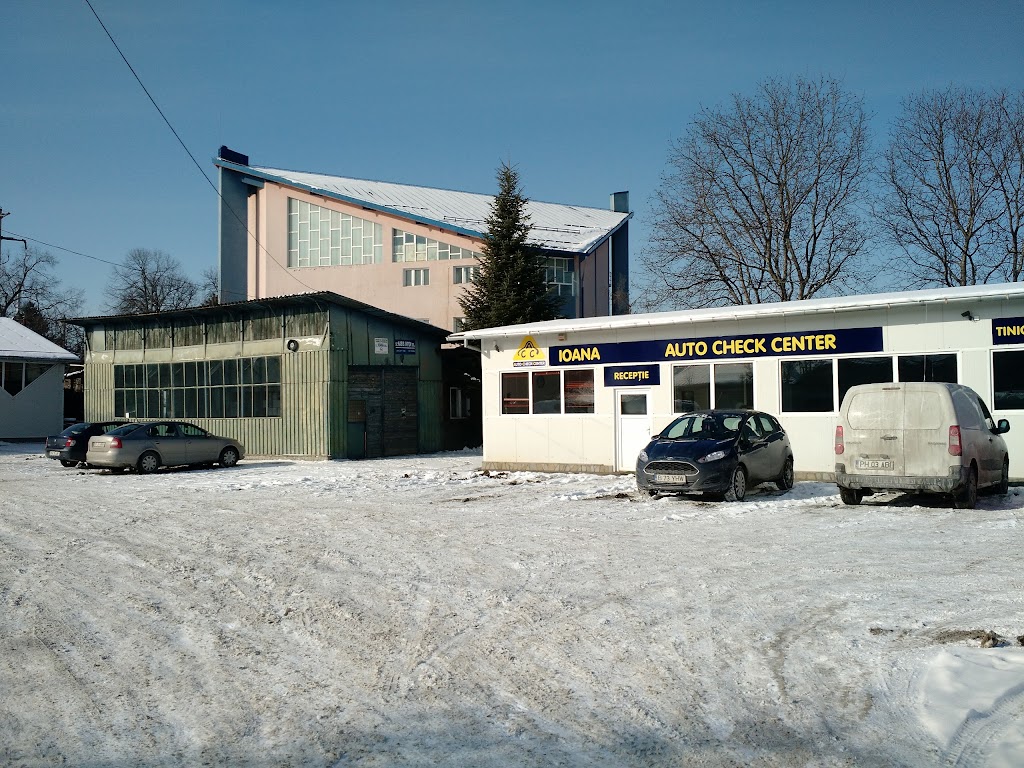 Ioana SRL Car Service