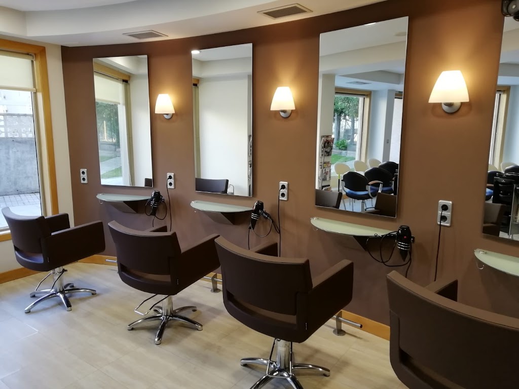 Area Peluqueria