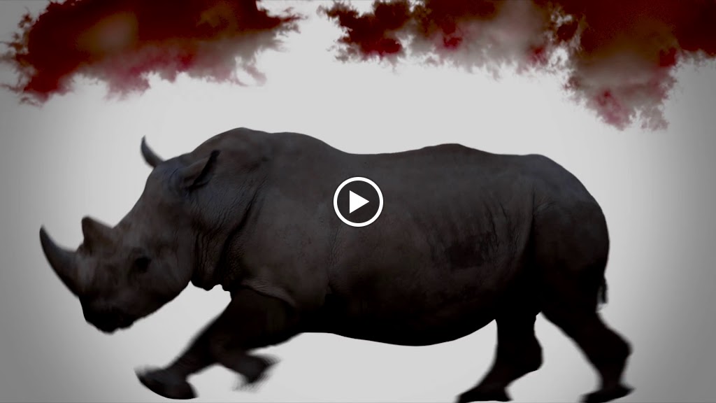  FIRE Fitness Camp Seymour