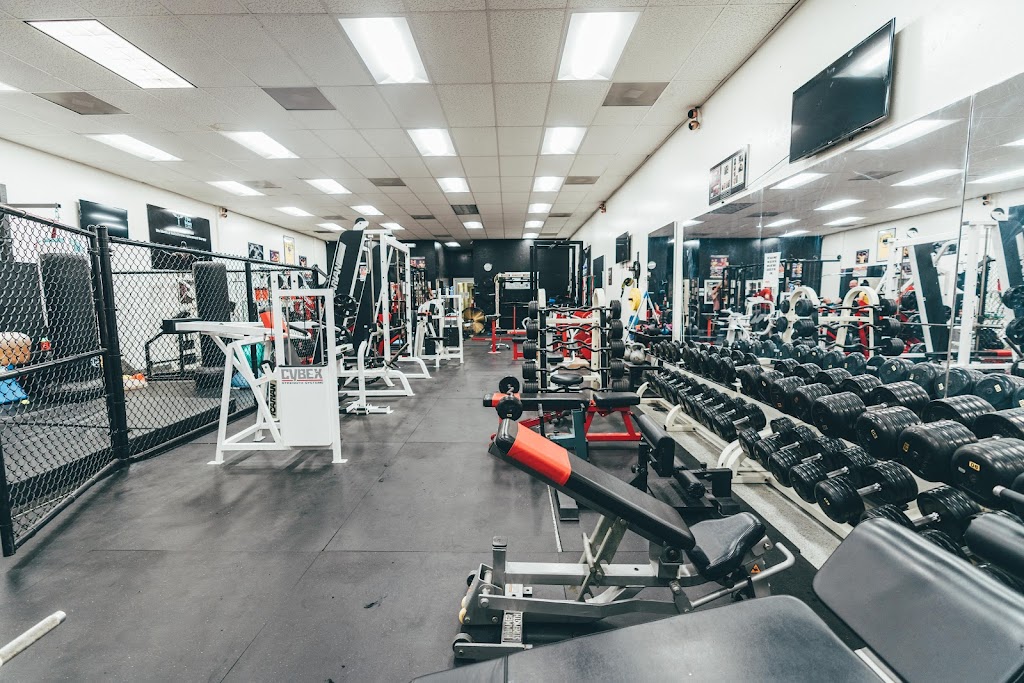  Mendy's Gym - Gym, Personal training, Nutrition