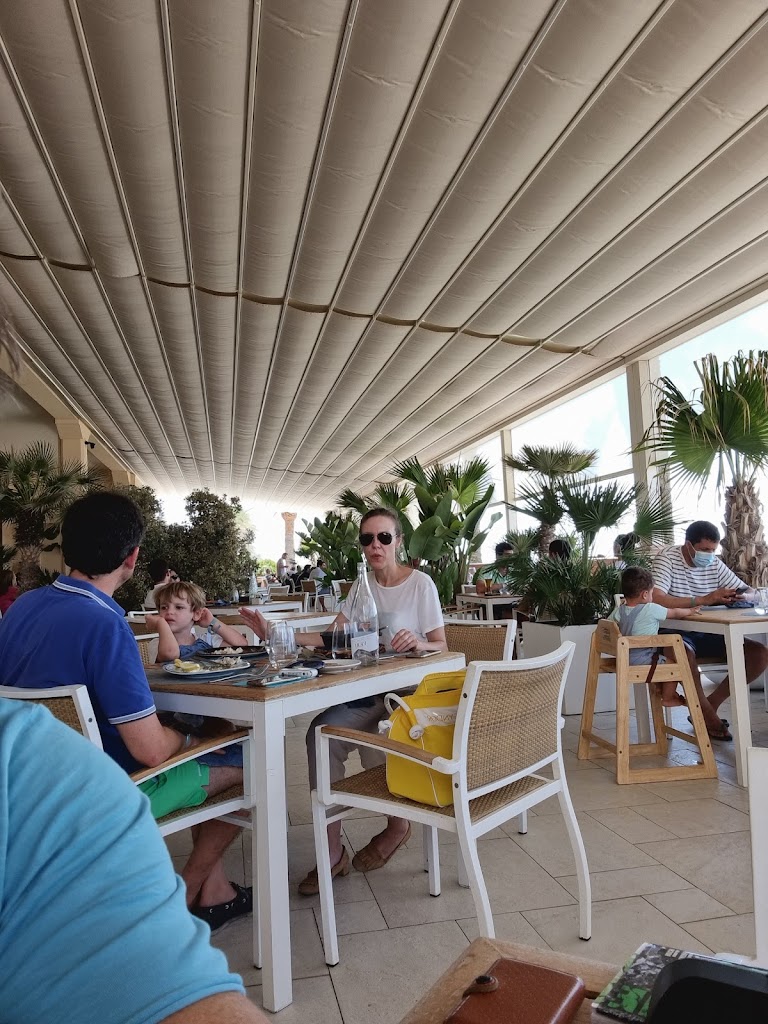 Restaurante D.O. — Ambiente