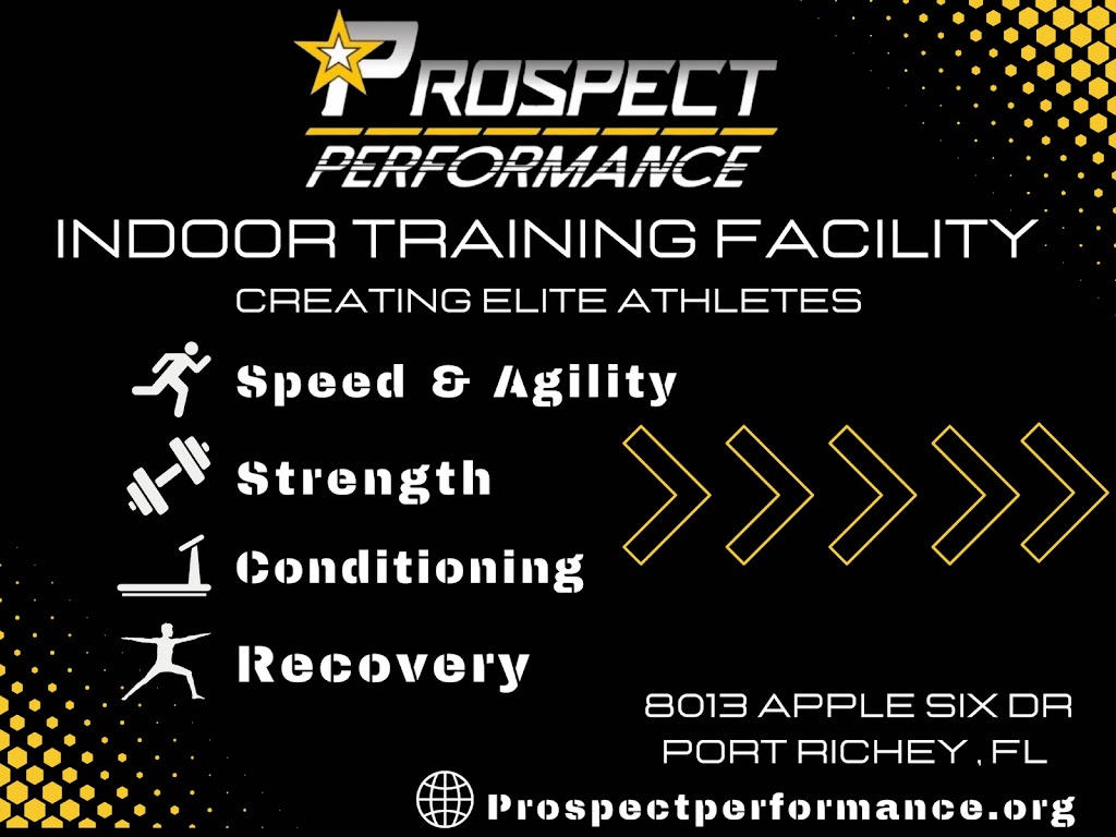  Prospect Performance