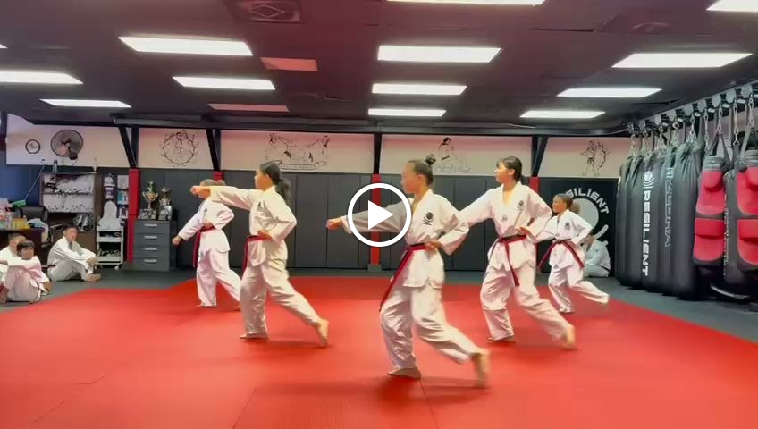  Resilient Martial Arts and Fitness