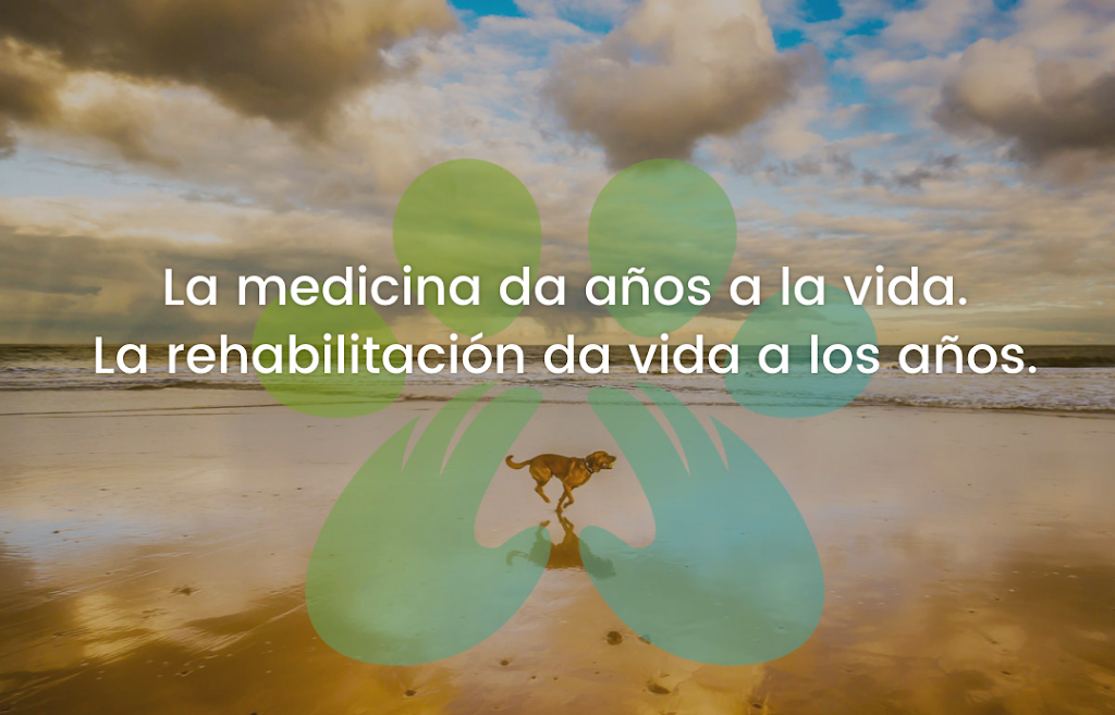 Recuperavet