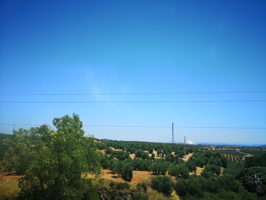 Parking de Emergencia de Camiones para Invierno