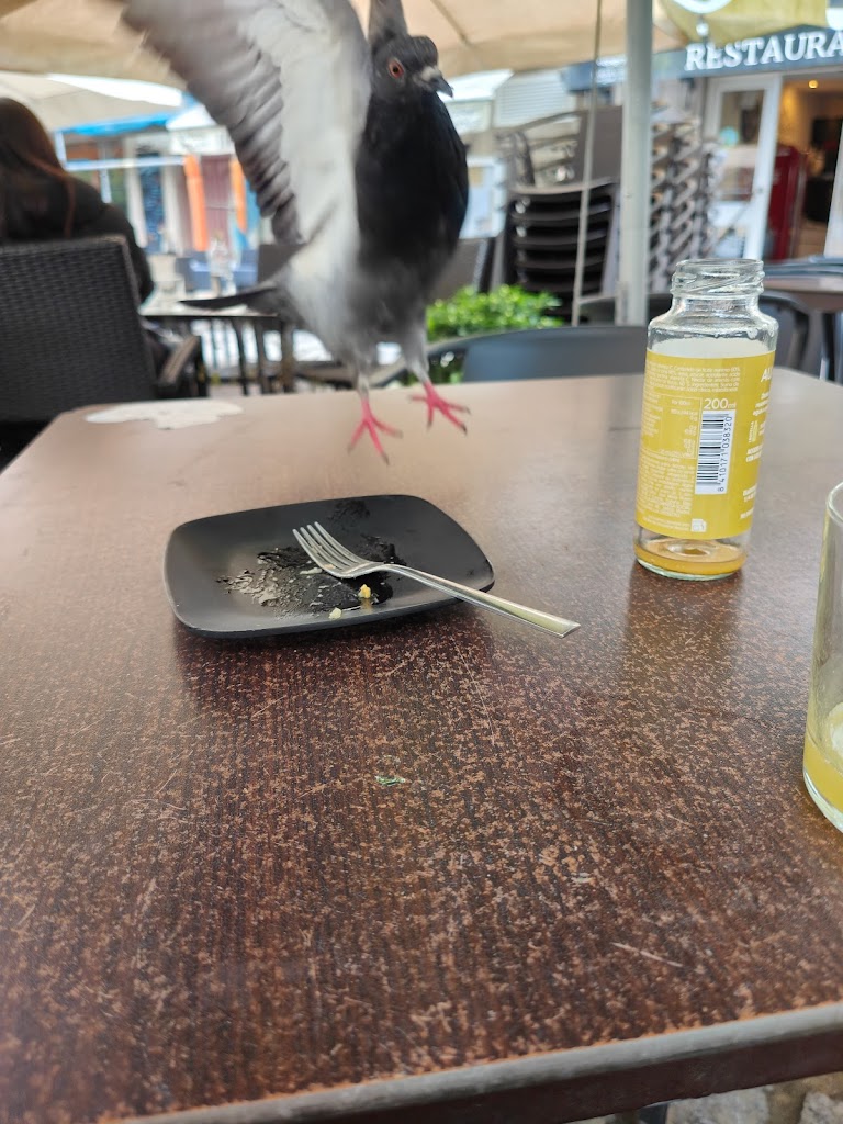 Santiago de Compostela Gift