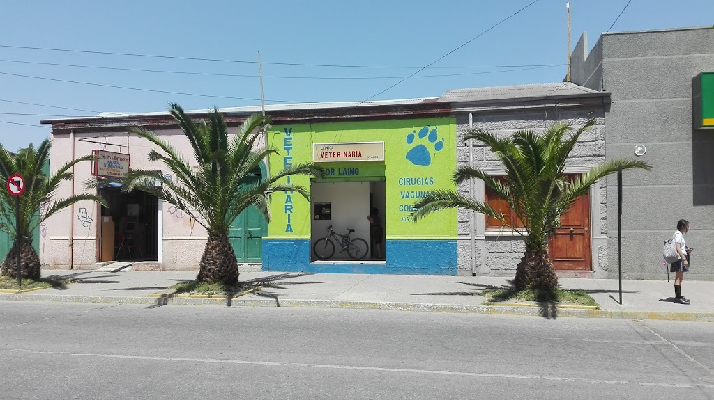 Veterinaria Dr Laing en Limache