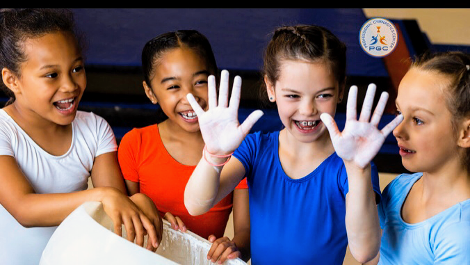  Professional Gymnastics Center
