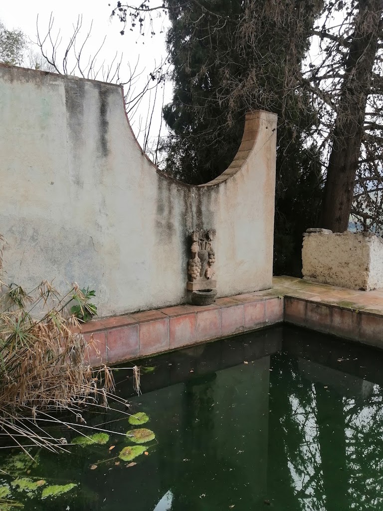 Finca Descalzos Viejos — Mas recientes