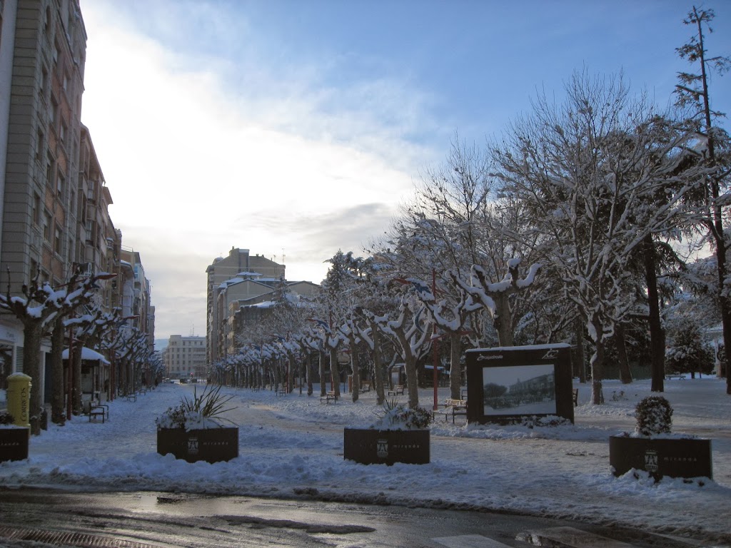 Asociacion Comarcal de Pensionistas y Jubilados