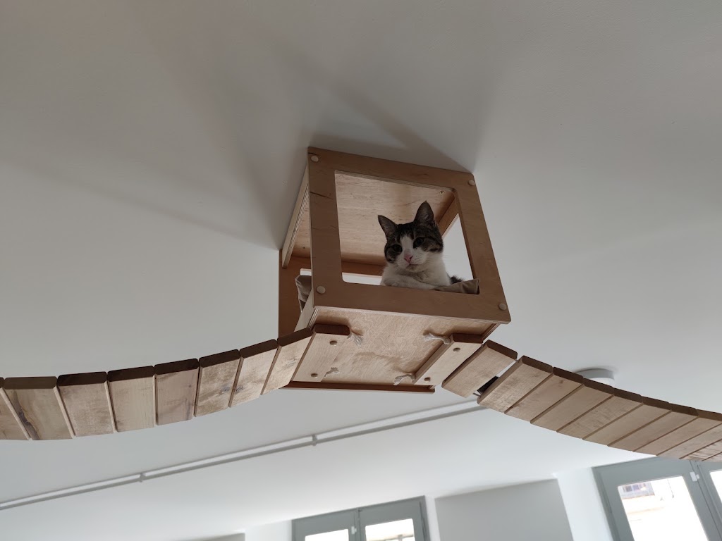 Ninus CatCafe — Del propietario