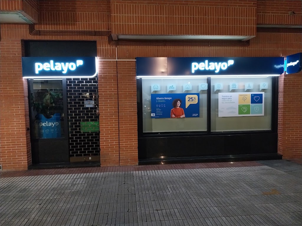 Seguros y Servicios Amorebieta 2012, SL — Exterior