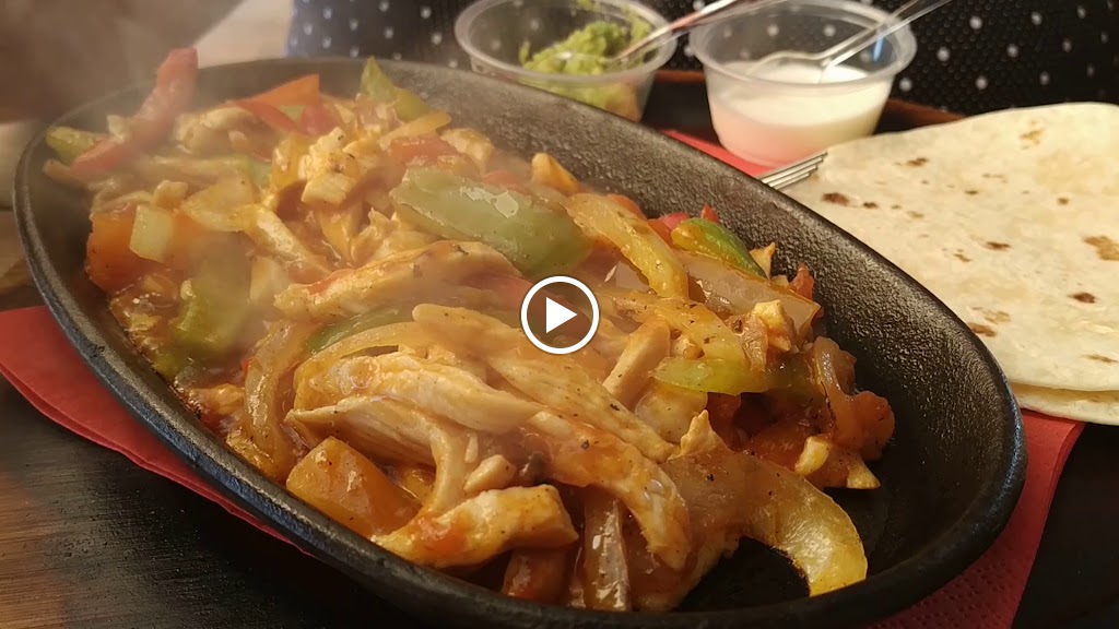 Chiguagua CASA FELIZ — Videos