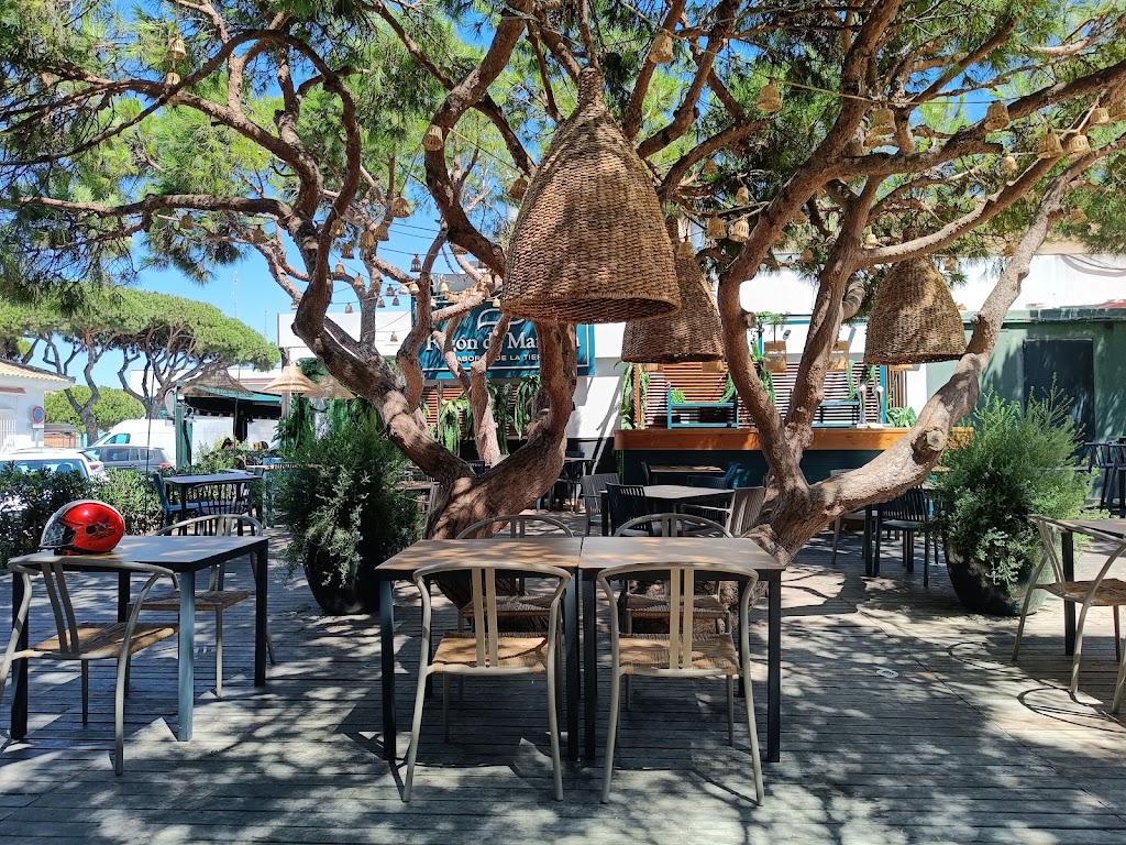 Fogon de Mariana - La Barrosa — Ambiente