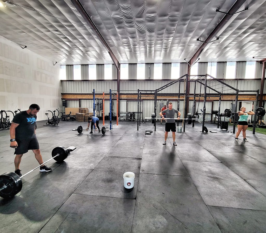  Crossfit BlueDog